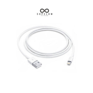 2 meter Lightning to USB Cable with 12W USB Adapter
