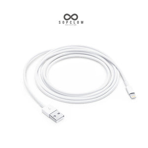 1 meter Lightning to USB Cable with 12W USB Adapter